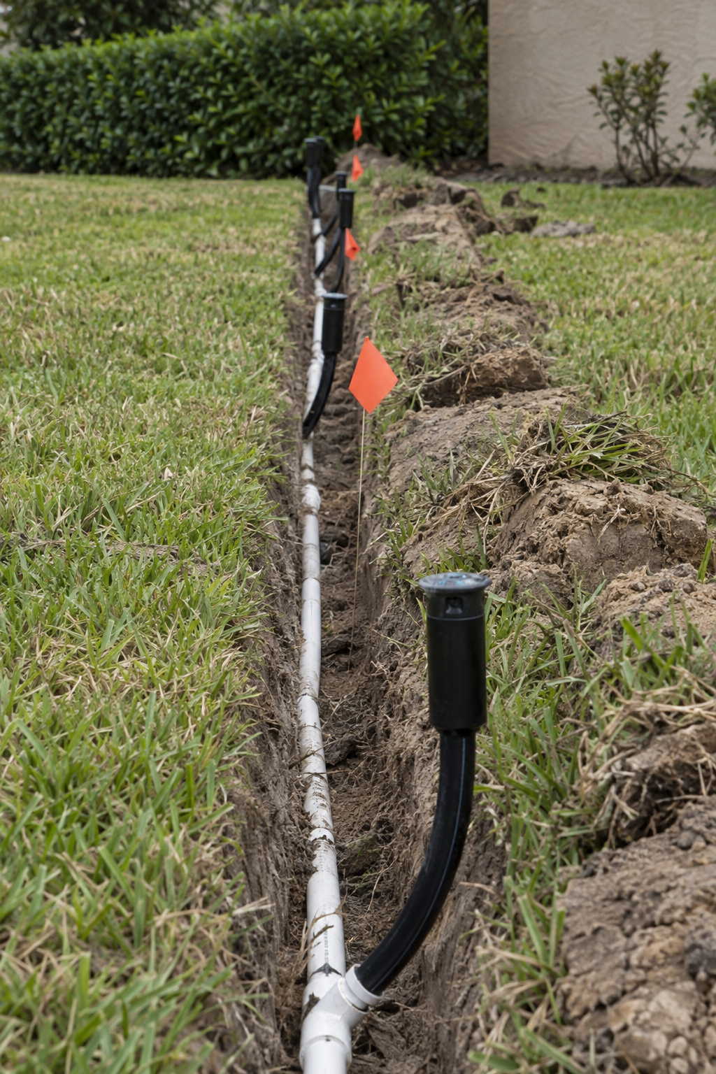 new sprinkler installation with heads and trenching